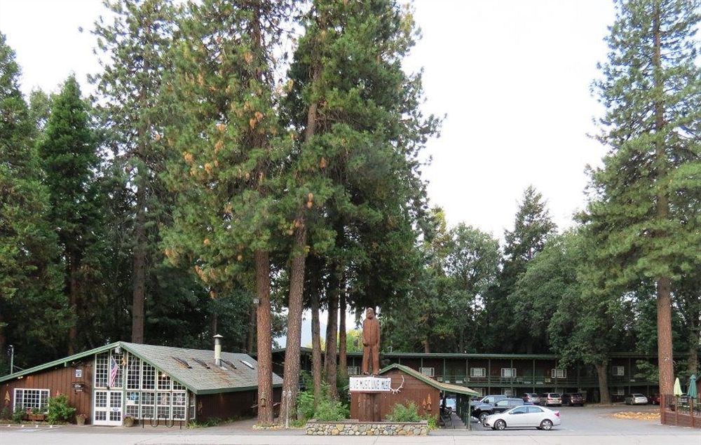 Shasta Inn Mount Shasta Buitenkant foto