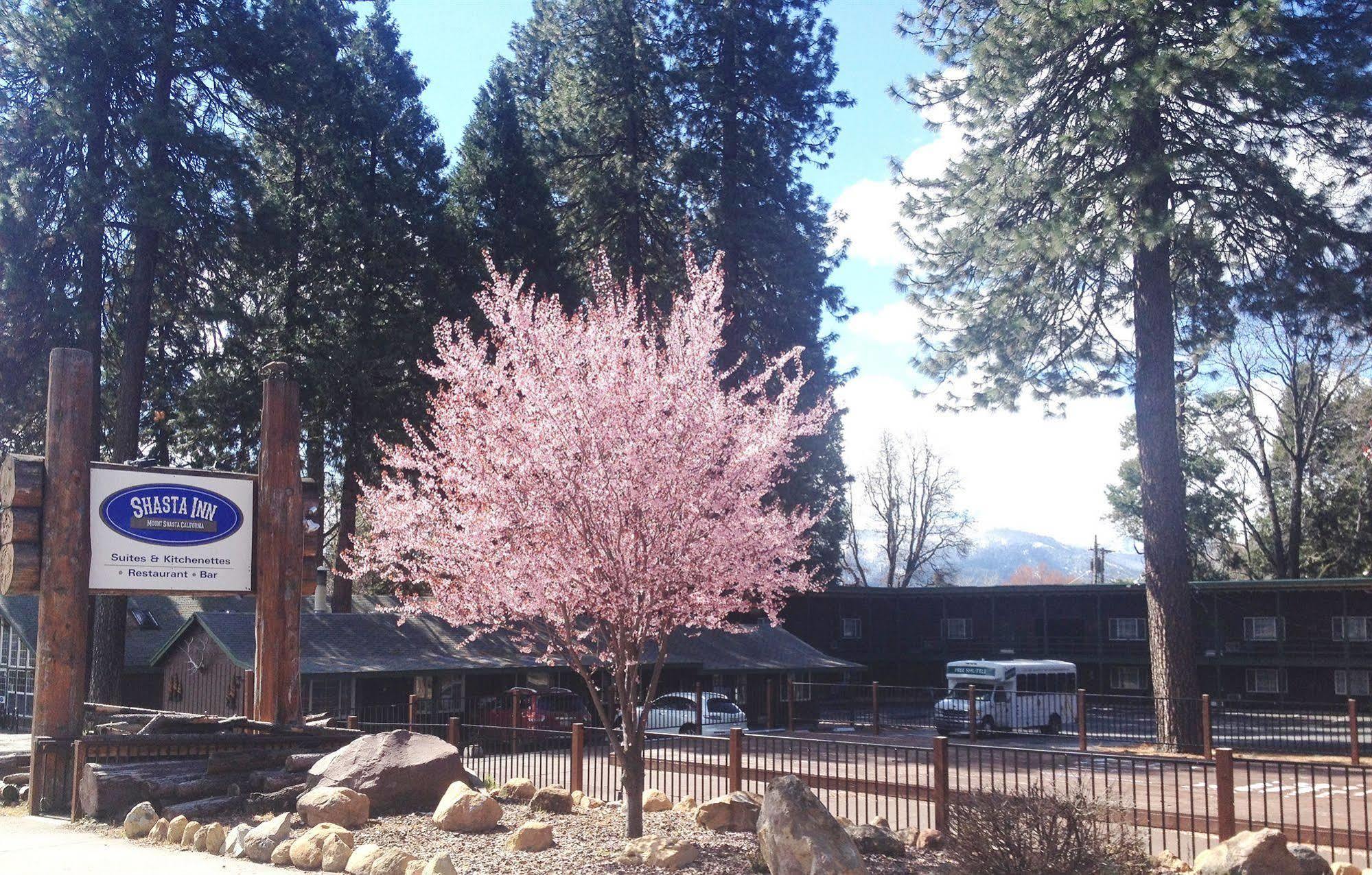 Shasta Inn Mount Shasta Buitenkant foto